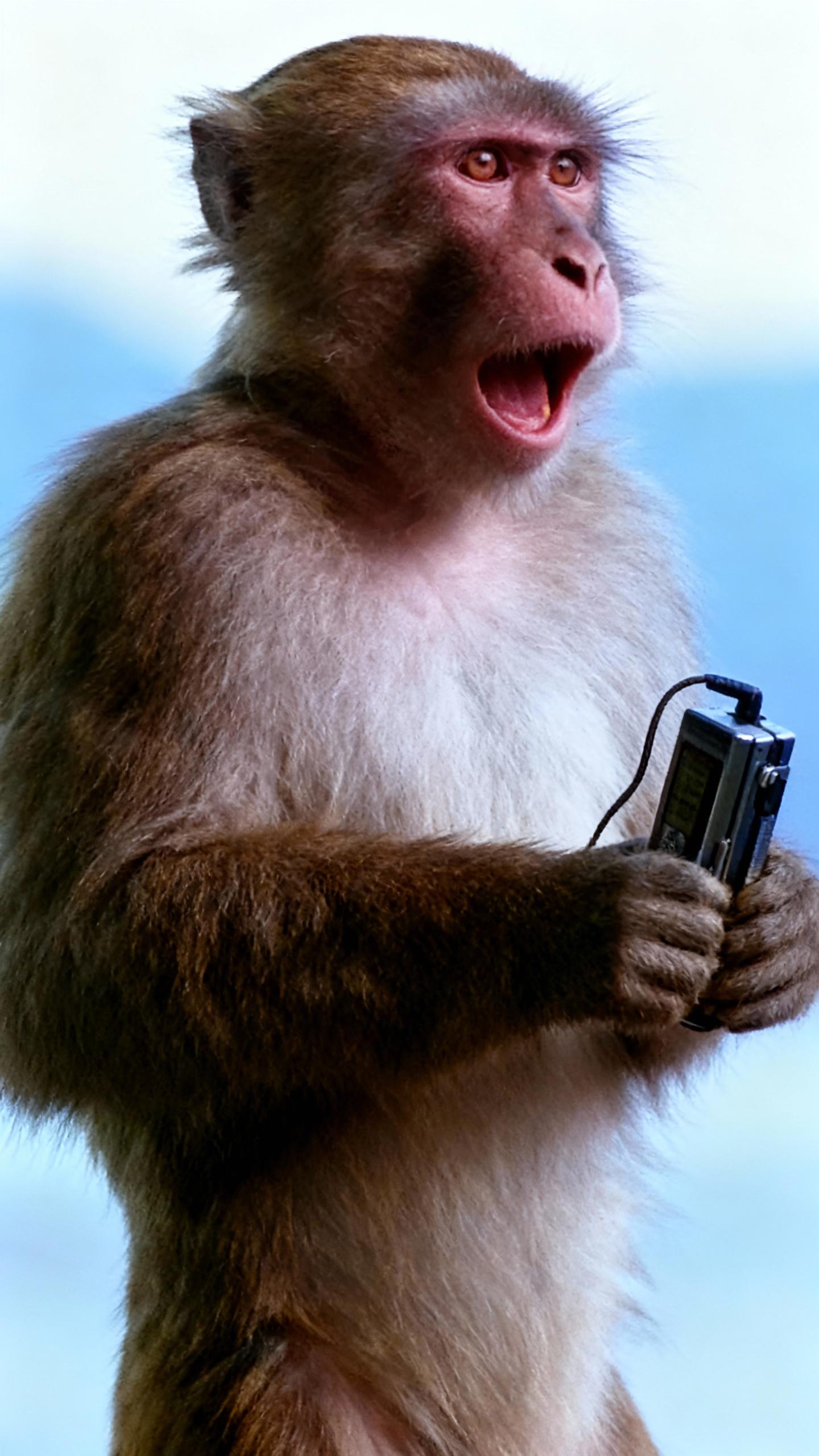 monkey listening music, walkman in hand, blue sky. same monkey, same position, same background, same expression. realistic ultra sharp, high resolution photogrphy