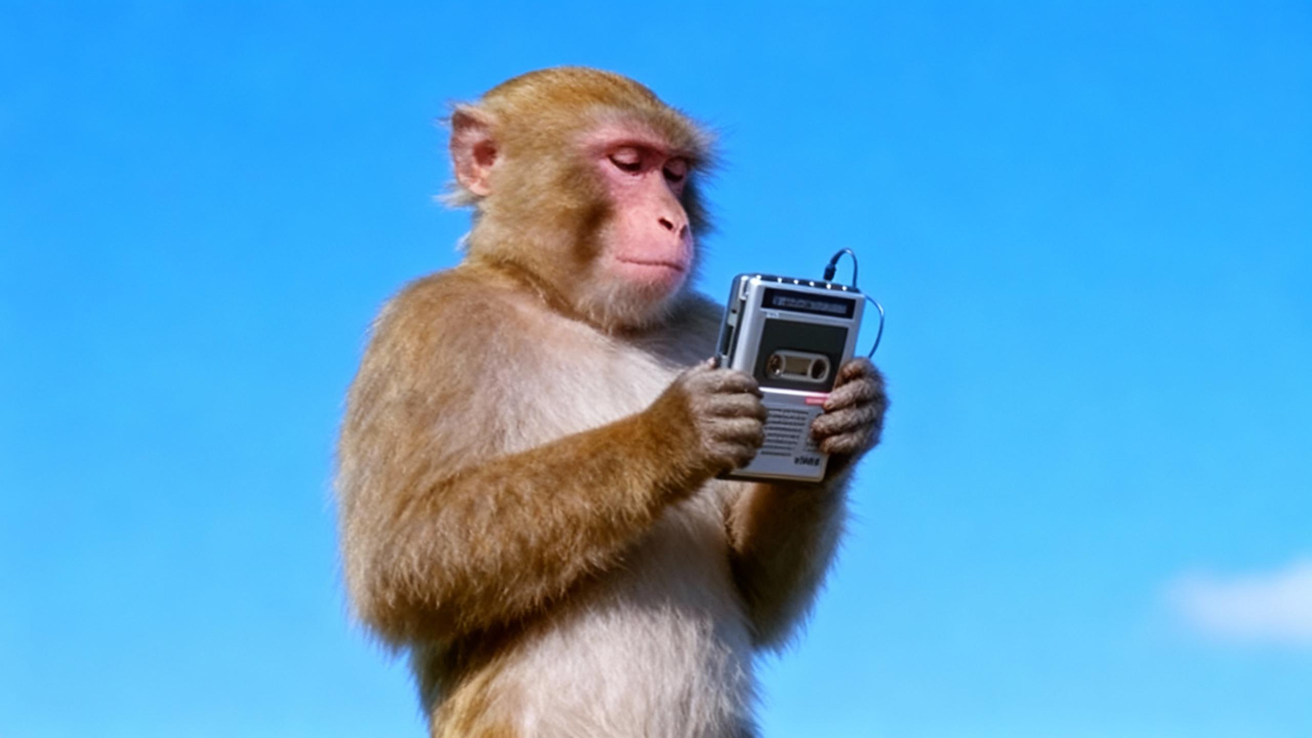 monkey listening music, walkman in hand, blue sky